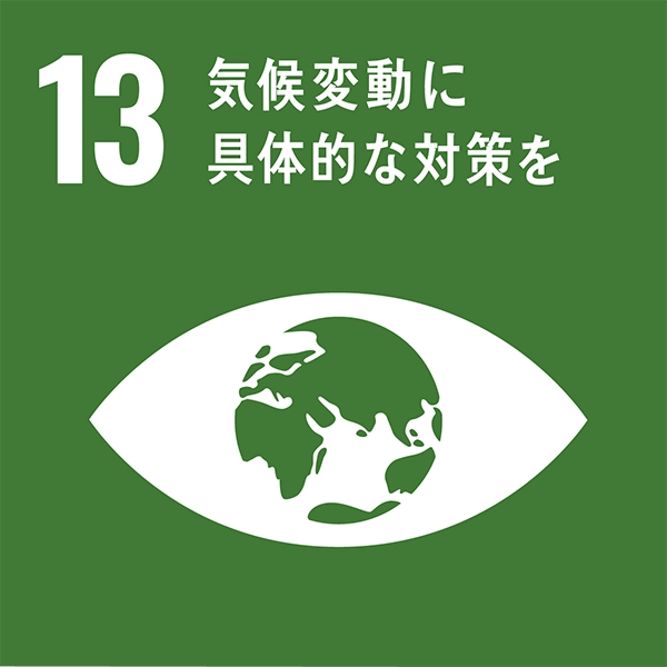 sdg_icon_13_ja_2 - image