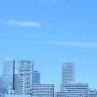 1e913e04a2563328ad83ef13ee3c8dc5-200x200 - image